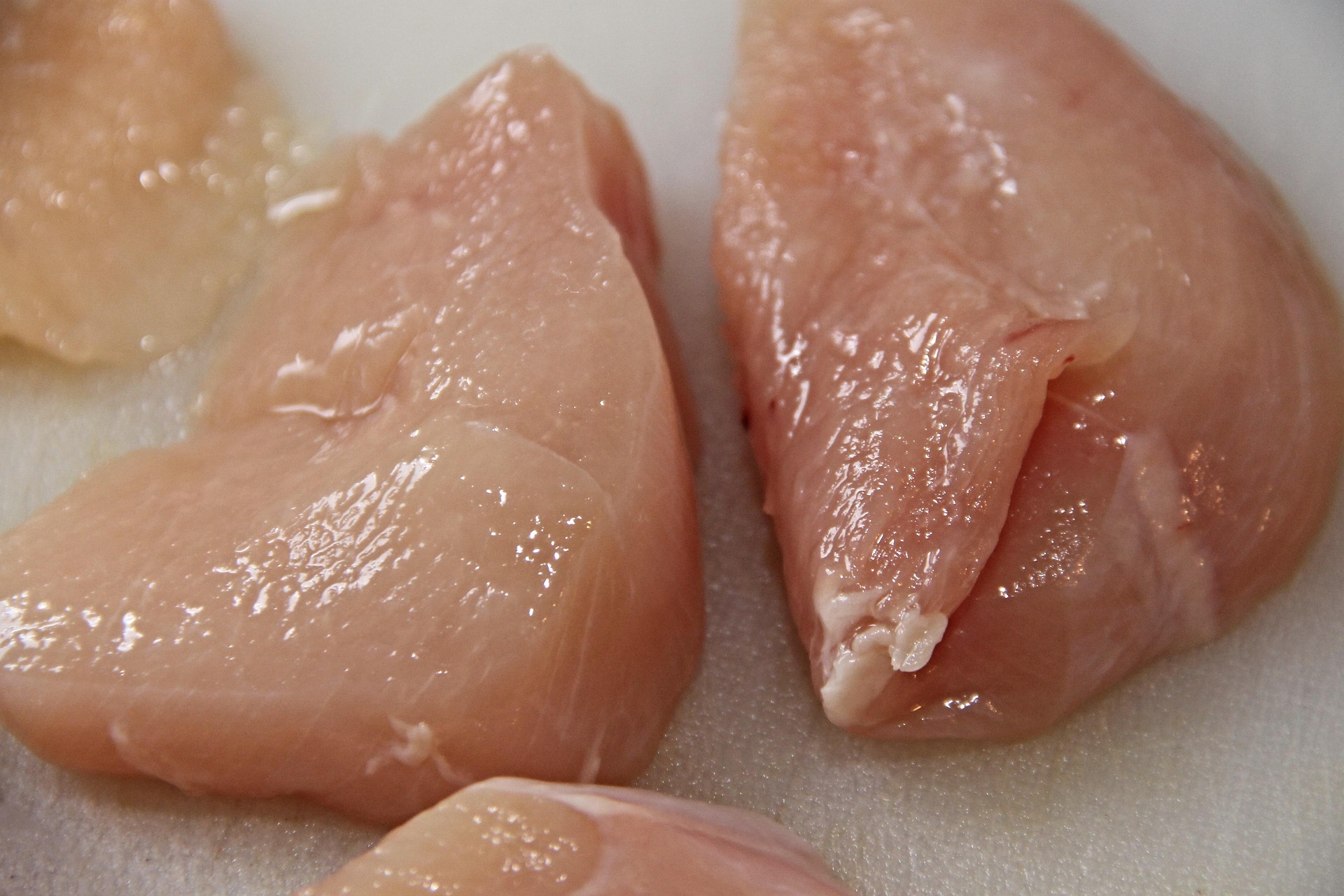 Blanc de poulet